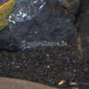 Granoflour® aquarium sand black - Image 4
