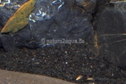 Granoflour® Aquariensand schwarz – Bild 4