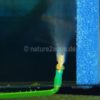 Sinterbronze Ausströmerstein Lüfterstein für Aquarium – Bild 2