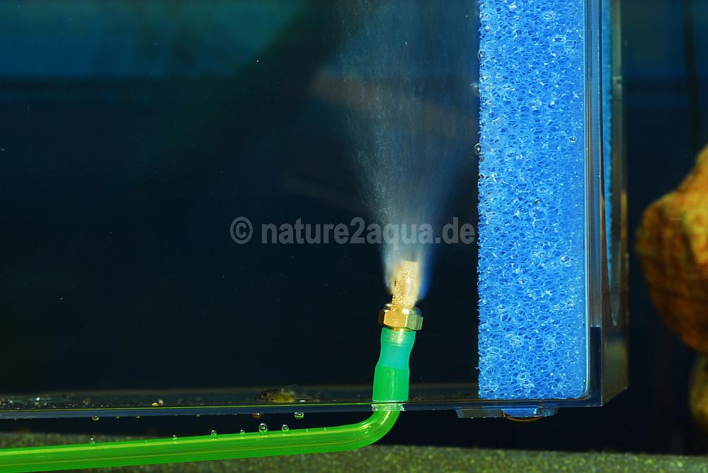 Sinterbronze Ausströmerstein Lüfterstein für Aquarium 20 Stück •  nature2aqua Aquarium Aquaristik