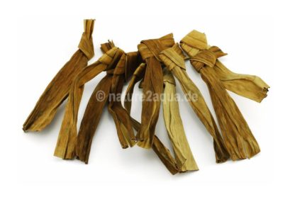 Banana leaves dried for aquarium use