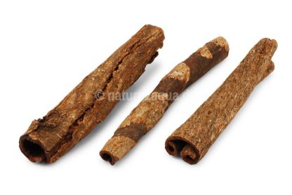 Indian almond Catappa bark tubes for aquarium