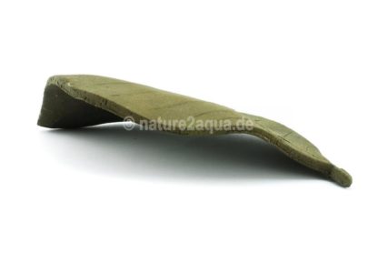 Dekoblatt Versteck aus Ton Seemandelbaumblatt braun
