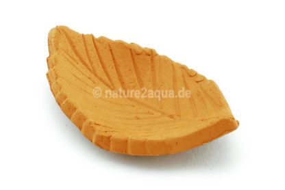 Aquarium Futterschale Buchenblatt aus Ton 6cm terracotta