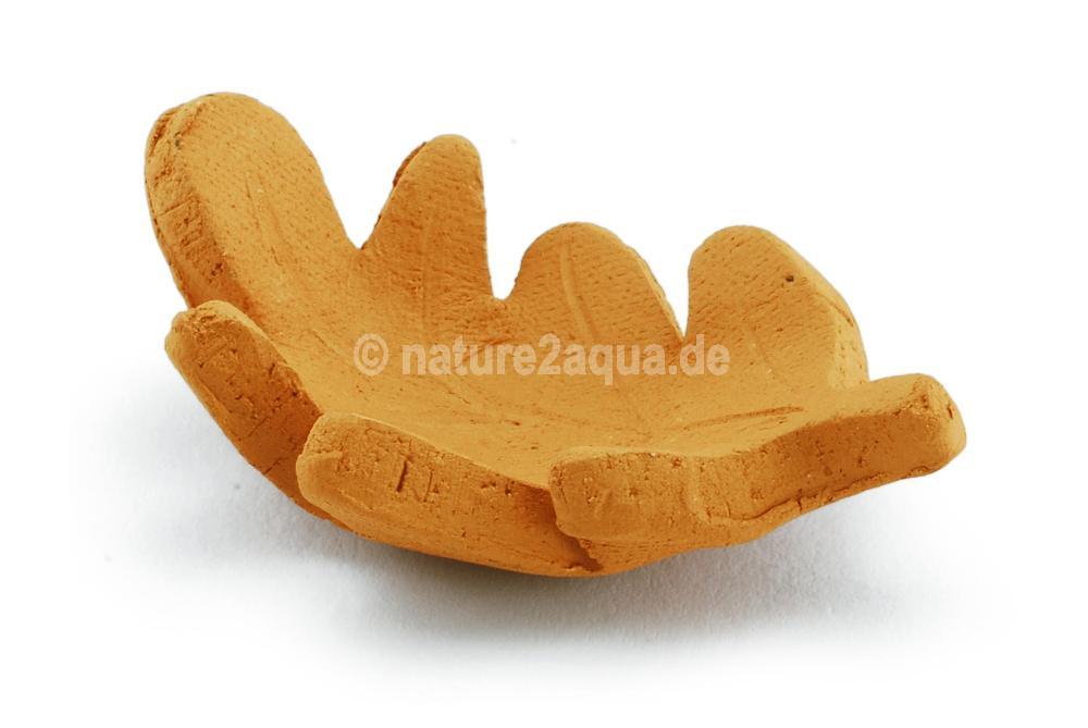 Aquarium Futterschale Stieleichenblatt aus Ton terracotta