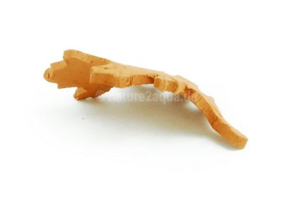 Dekoblatt Ton Ilexblatt terracotta Aquarium