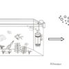 zeichnung ziss egg tumbler aquarium