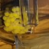 Gelege L309 im Ziss Egg Tumbler