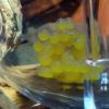 Gelege L309 im Ziss Egg Tumbler