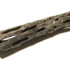 cholla Kaktusholz 3x15 cm Ø Aquarium
