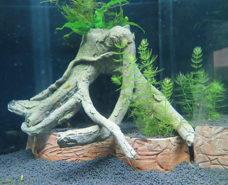 Die 16 besten Aquarium Pumpen Filter - Ratgeber