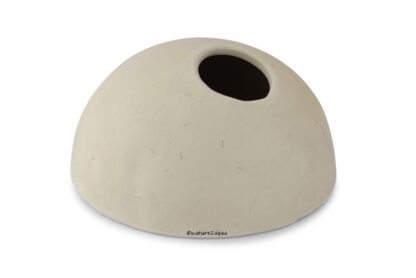 Igloo cave 12 cm Ø Igloo cave Apistogramma entrance on top for small-medium cichlids - Image 13
