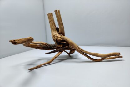 Spiderwood Wurzel für Aquarium Aquarienwurzel