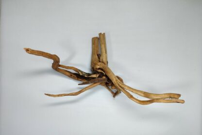 Spiderwood Wurzel für Aquarium Aquarienwurzel