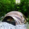 Iglu-Höhle Aquarium