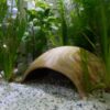 Iglu-Höhle Aquarium