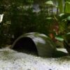 Iglu-Höhle Aquarium