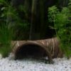 Axolotl Höhle
