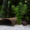 AquaKeramik Tunnel aus Ton in T-Form mit 3 Ausgängen Axolotl Höhle – Bild 22