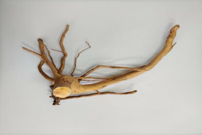 Spiderwood Aquarienwurzel