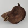 Thelambu pod as a cave or hiding place - Image 4