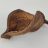 Thelambu pod as a cave or hiding place - Image 2