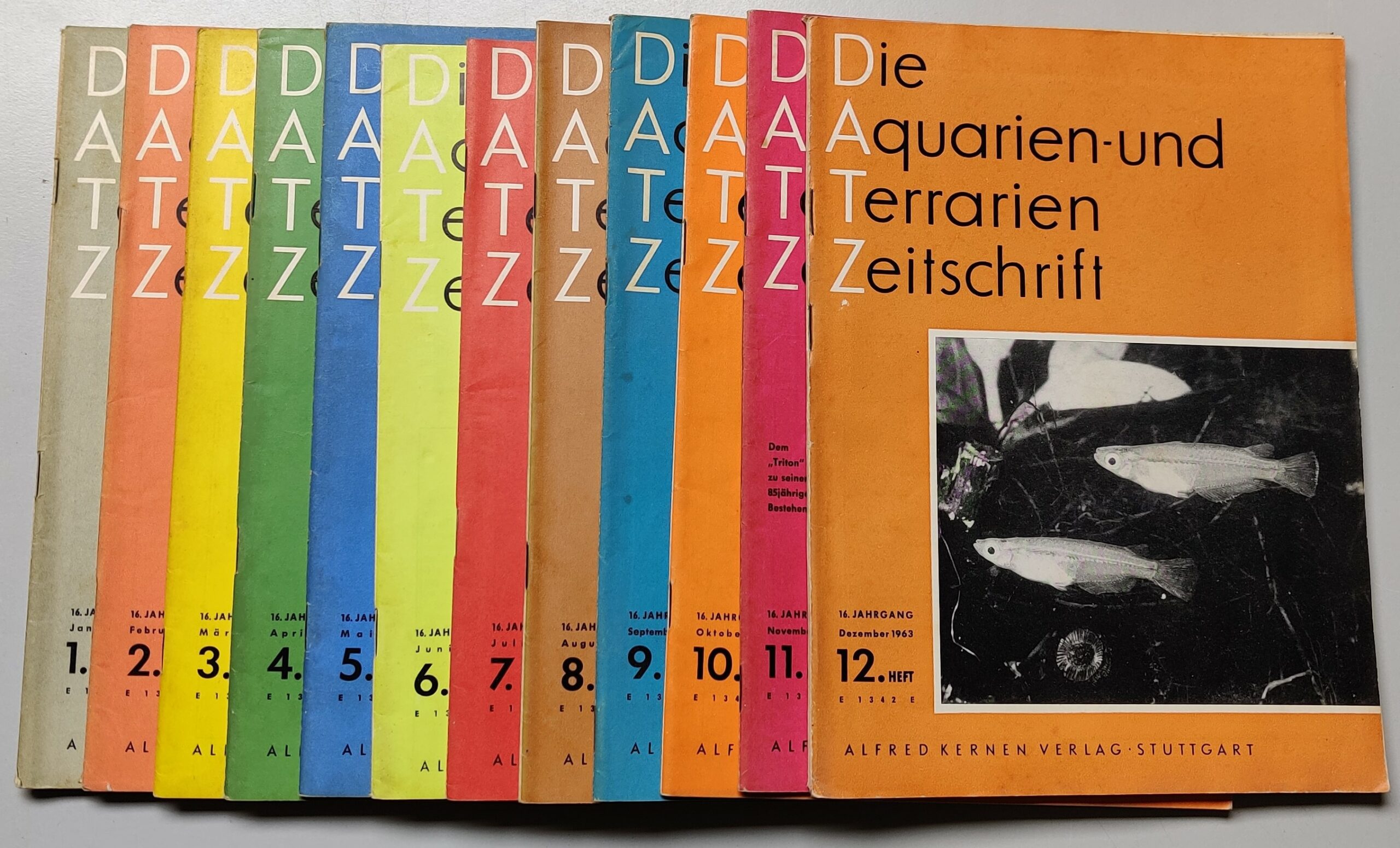 DATZ 1963 Ganzer Jahrgang