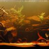 Neues Becken nach Zugabe von Humin Booster