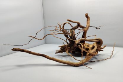 Spiderwood aquarium root