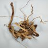 Spiderwood Aquarienwurzel SR67 ca 20x36x23 cm – Bild 4