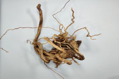 Spiderwood aquarium root