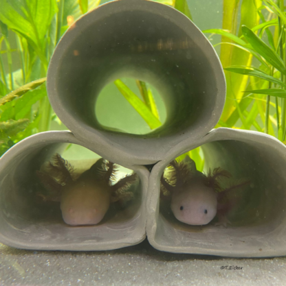AquaKeramik Axolotl Höhle Höhlenturm aus 3 Röhren – Bild 3