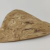 Großes Blatt aus Ton als Versteck im Aquarium – Bild 14