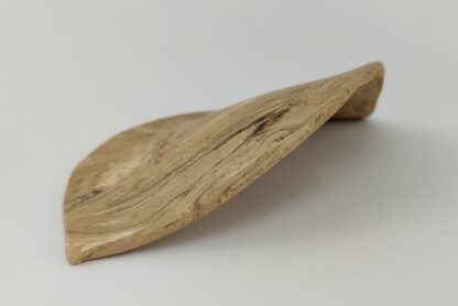 Großes Blatt aus Ton als Versteck im Aquarium – Bild 12