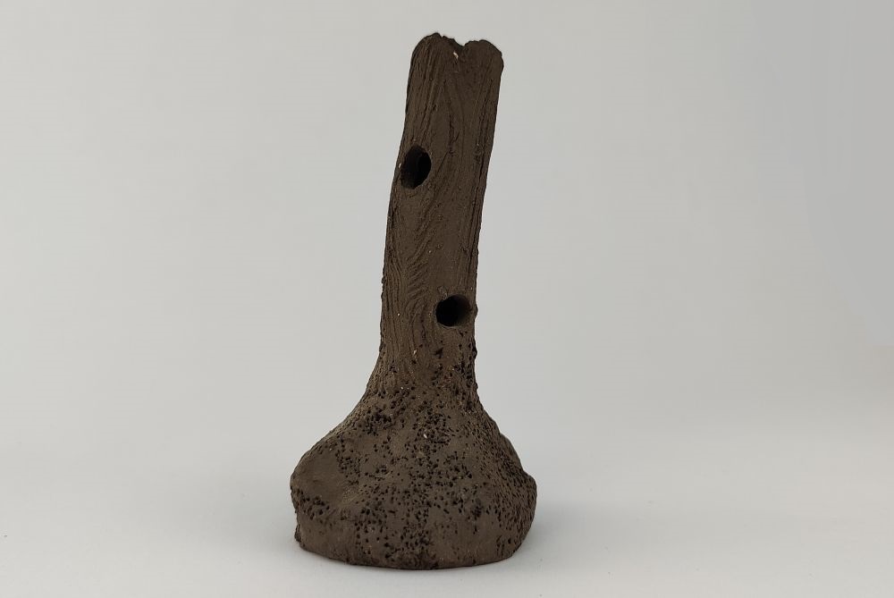 Garnelenstamm 10 cm B-Ware