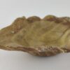Feeding Bowl Drinking Bowl Leaf Shape Glazed Supernova