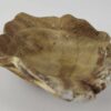 Feeding Bowl Drinking Bowl Leaf Shape Glazed Supernova - Image 2