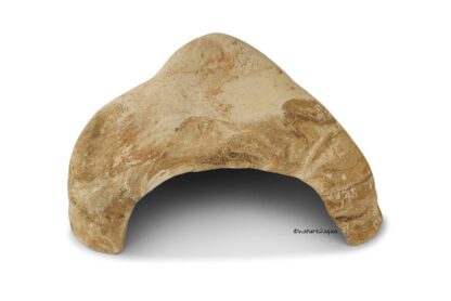 Steinhöhle Steiniglu Felsiglu aus Ton Axolotl Höhle ca. 24x20x11 cm – Bild 15