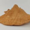 Snail Shell Sea Snail Half Shelter Terracotta No. D34 - Image 2