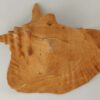 Snail Shell Sea Snail Half Shelter Terracotta No. D34 - Image 4