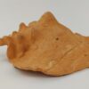 Snail Shell Sea Snail Half Shelter Terracotta No. D34 - Image 5