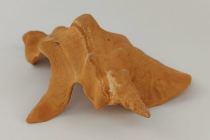 Snail Shell Sea Snail Half Shelter Terracotta No. D34 - Image 6