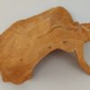 Snail Shell Sea Snail Half Shelter Terracotta No. D34 - Image 8