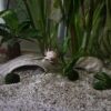 Kundenfoto Aquakeramik Igluhöhle Ente vintage mit Axolotl Höhle