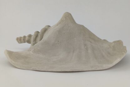 Schneckeniglu Meeresschnecke E3