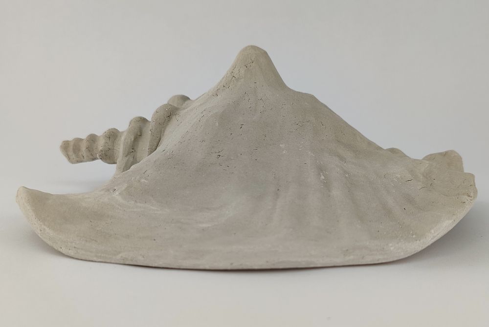 Schneckeniglu Meeresschnecke E3