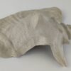 Snail Shell Sea Snail Half Shelter light grey No. E3 - Image 12