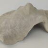 Snail Shell Sea Snail Half Shelter light grey No. E3 - Image 6