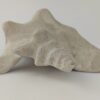Snail Shell Sea Snail Half Shelter light grey No. E3 - Image 7