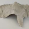 Snail Shell Sea Snail Half Shelter light grey No. E3 - Image 10